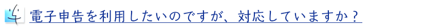 電子申告の利用